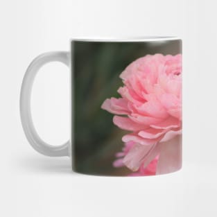 Peony Pink Ranunculus Closeup Mug